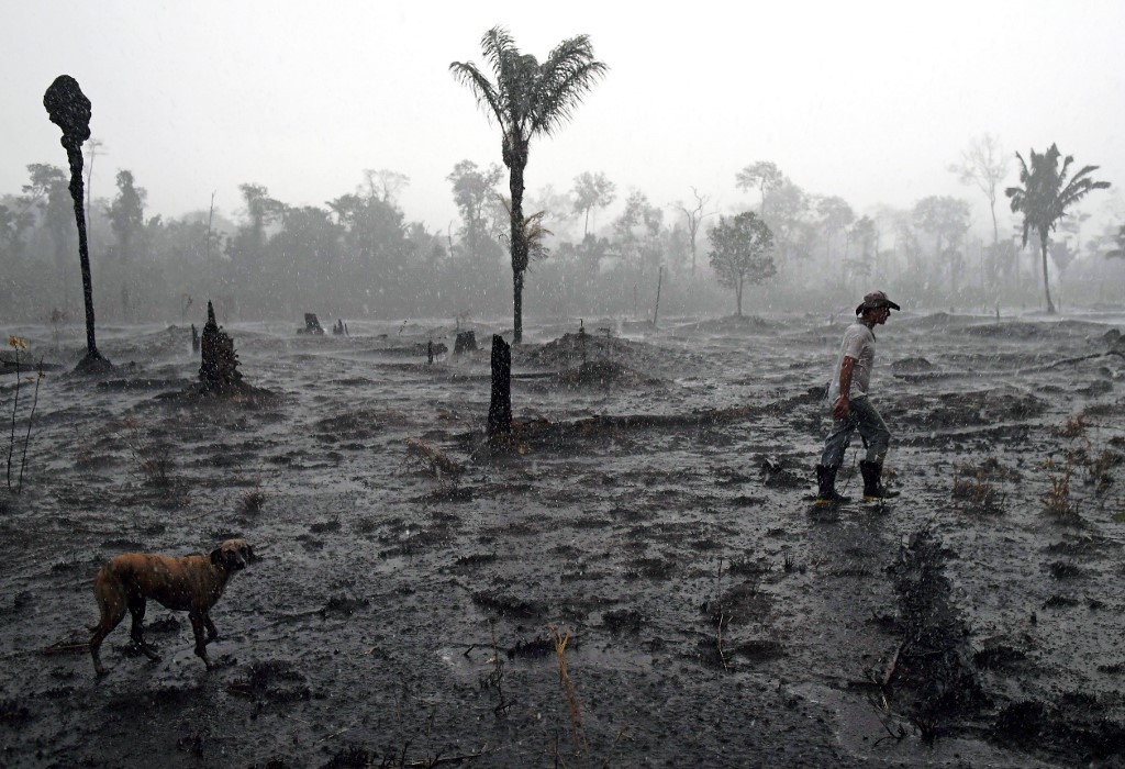 Amazonía brasileña indefensa ante incendios en plena pandemia de coronavirus