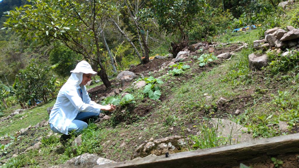 “Cultivos de esperanza”: vecinos del Chirripó crean huertas para enfrentar la crisis por coronavirus