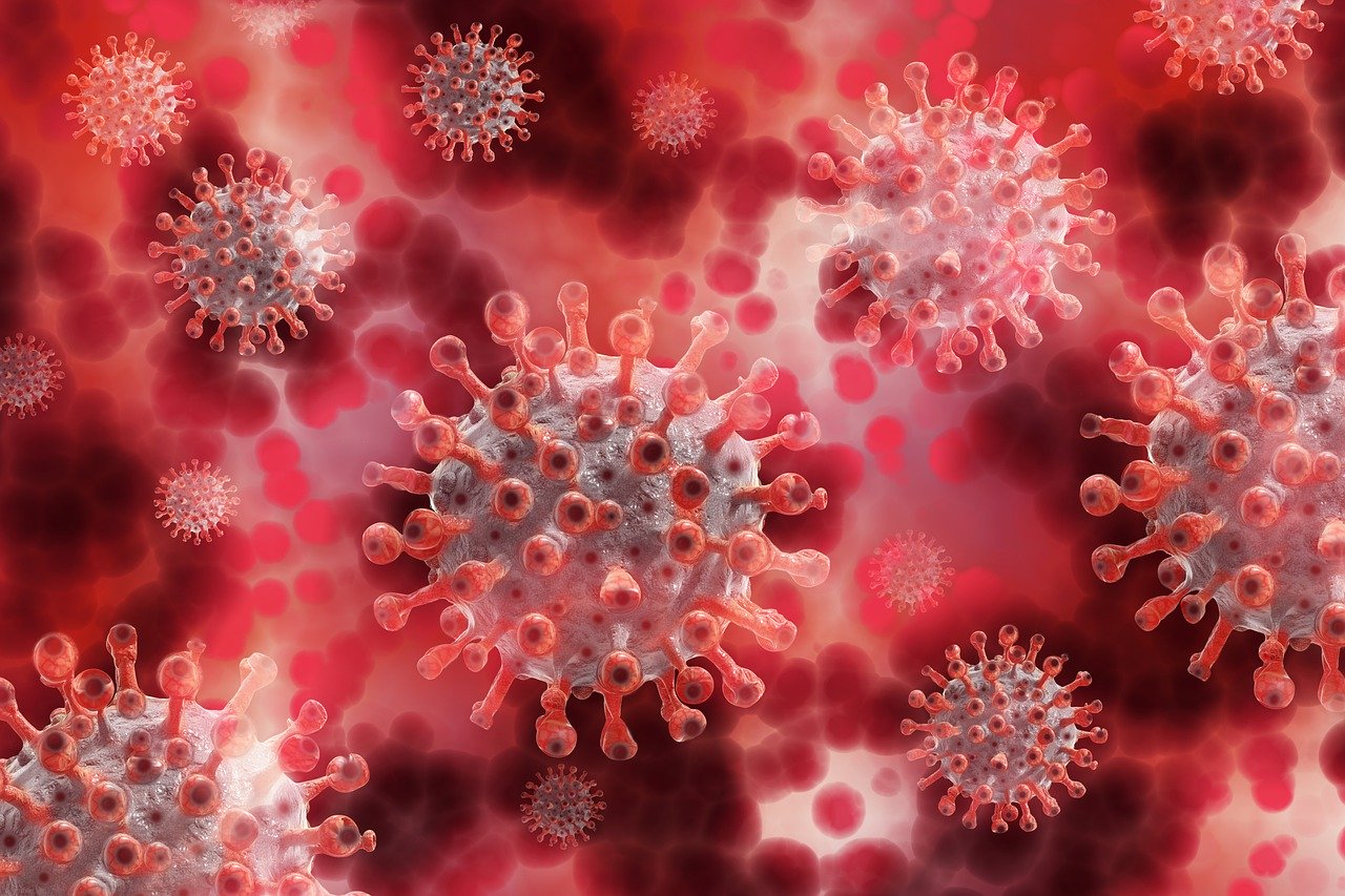 OMS admite que “quizás nunca haya una solución” para el coronavirus