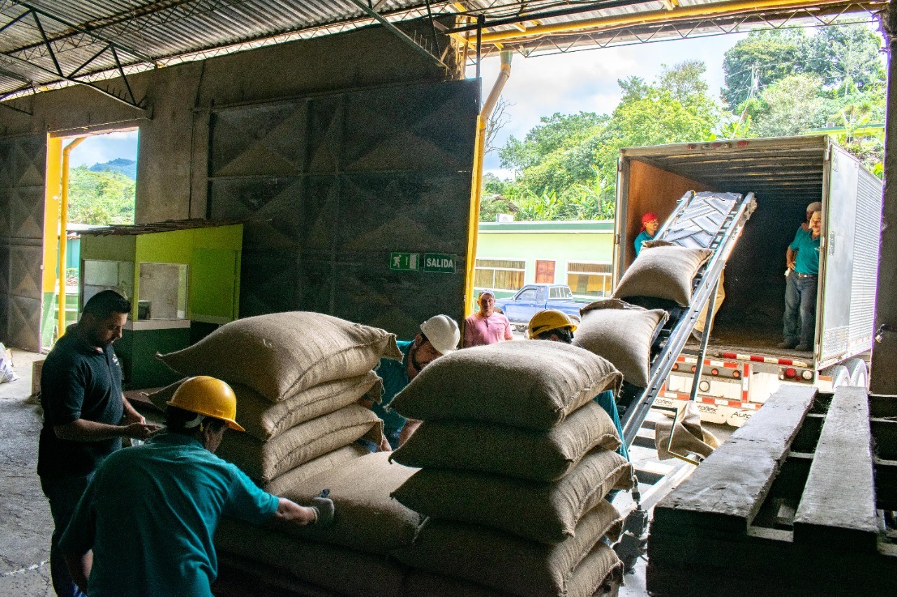 Café de Costa Rica sigue llegando a tres continentes en tiempos de pandemia