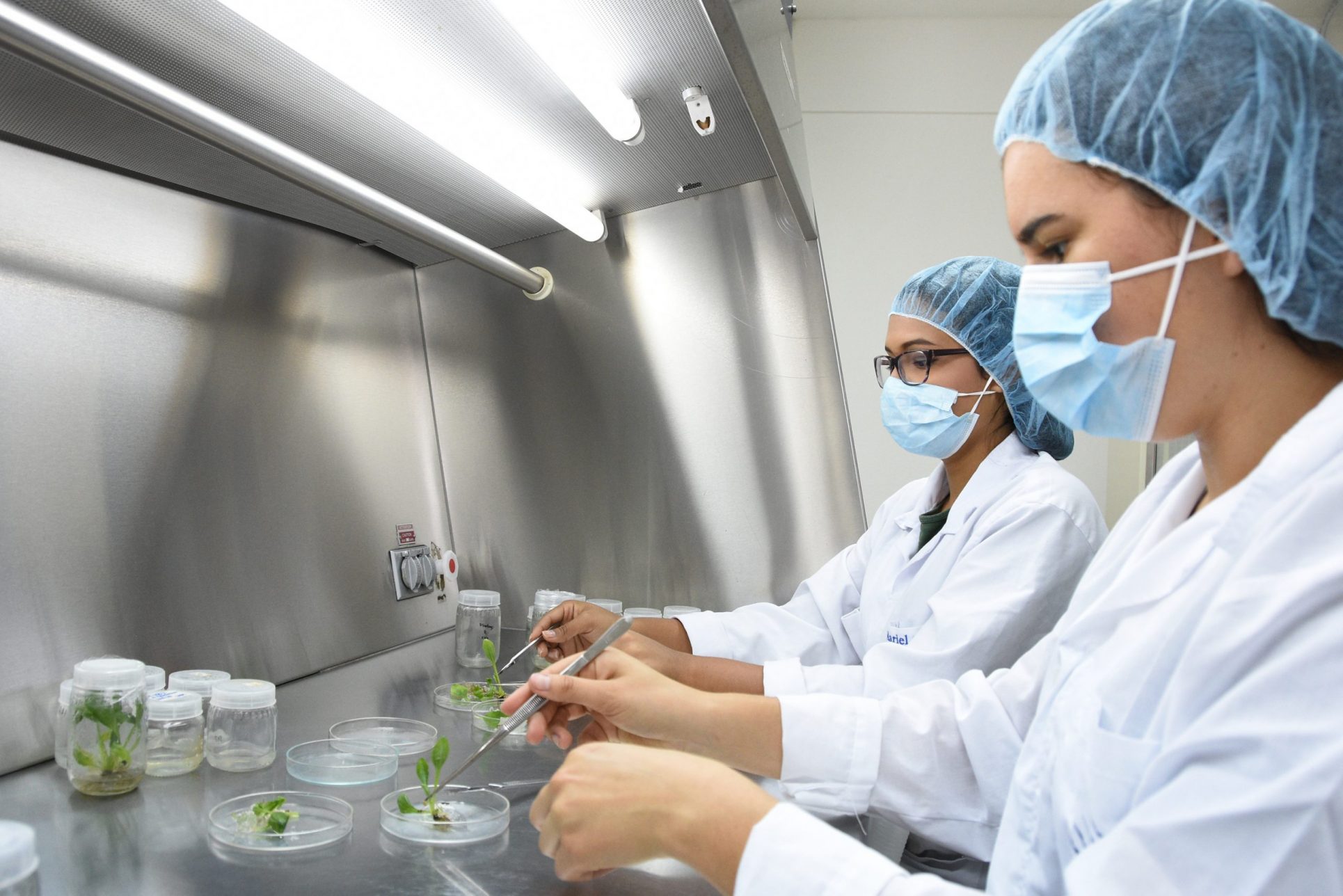 Cinco laboratorios privados podrán realizar pruebas para medir anticuerpos contra la COVID-19