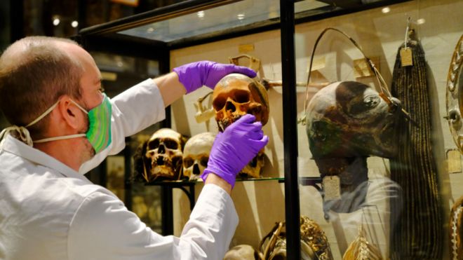La colección de cabezas humanas de tribus de Ecuador y Perú que fue retirada de un museo de la Universidad de Oxford