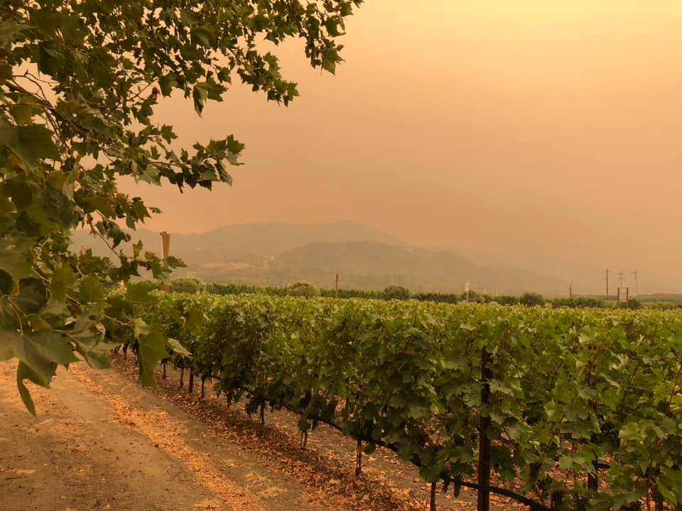 “Buenos días, Apocalipsis”: el relato de una tica rodeada por los incendios en California