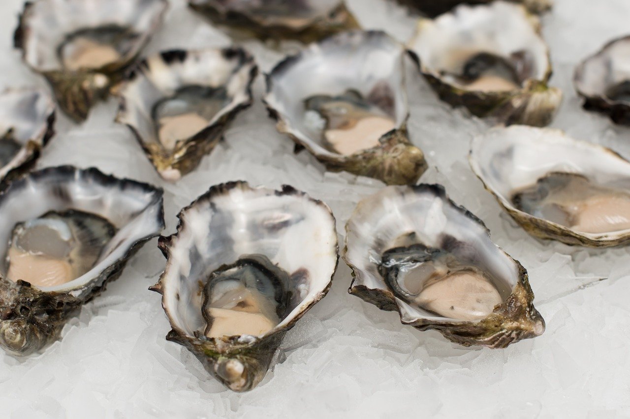 Senasa prohibe comercialización de ostras, mejillones y almejas del Pacífico