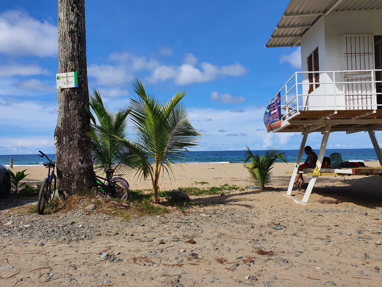 Sur-Sur, el Caribe y más adelante el Norte-Norte: así va la hoja de ruta para el crecimiento del turismo de Costa Rica
