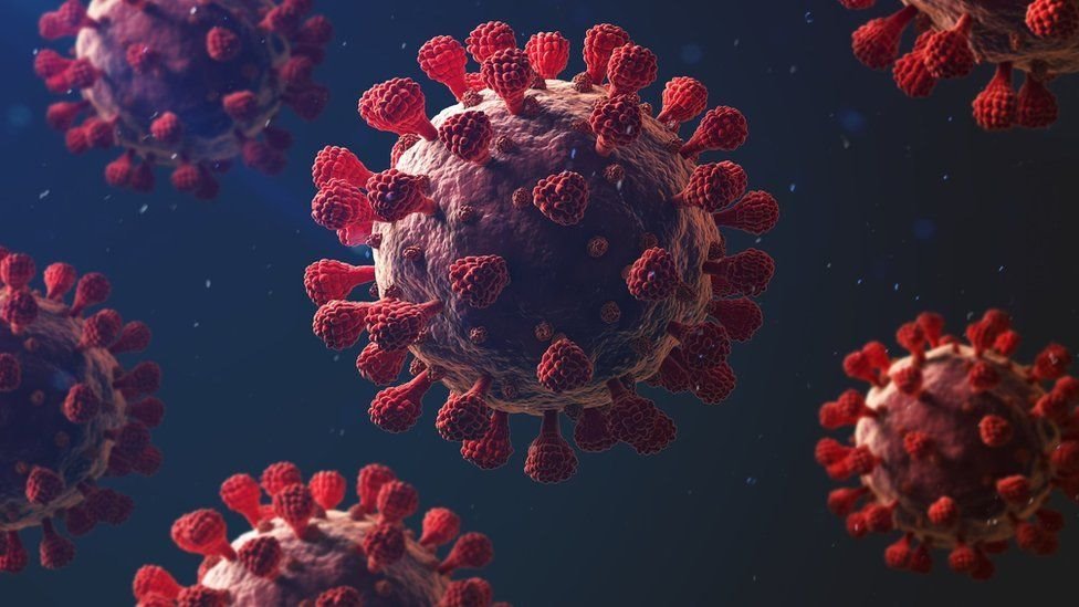 ¿Puede el covid-19 convertirse en un virus endémico?