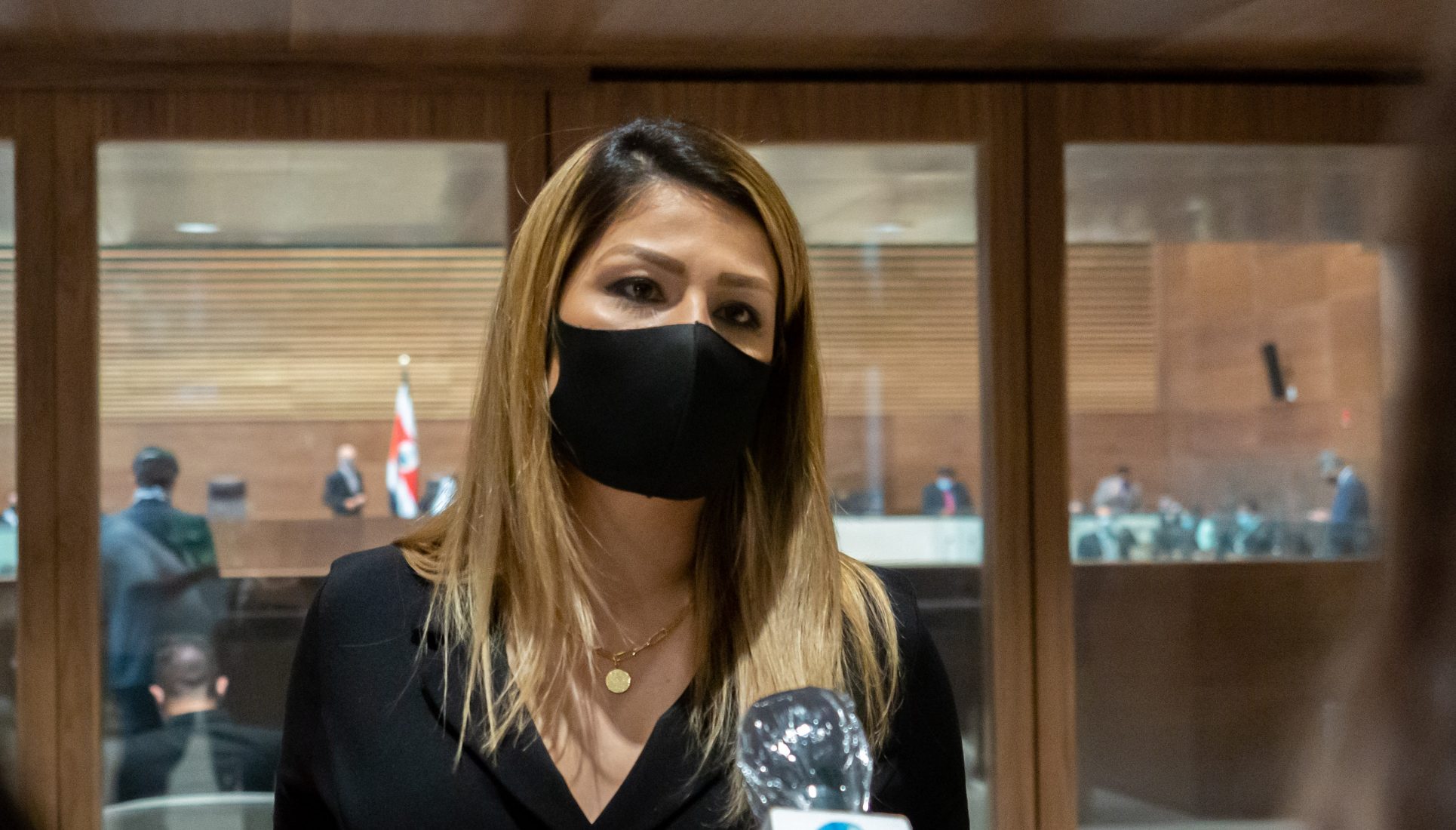 Diputada Franggi Nicolás en aislamiento tras contacto con asesor que dio positivo al covid-19