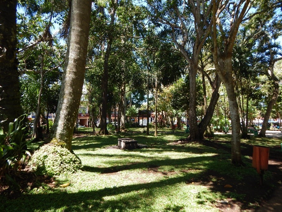 Parque de Palmares