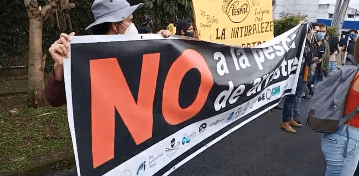 Grupo de ciudadanos y organizaciones se manifestaron frente a Casa Presidencial contra la ley de pesca de arrastre