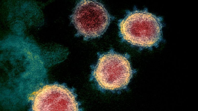 El misterioso “gen dentro del gen” que descubrieron escondido en el coronavirus