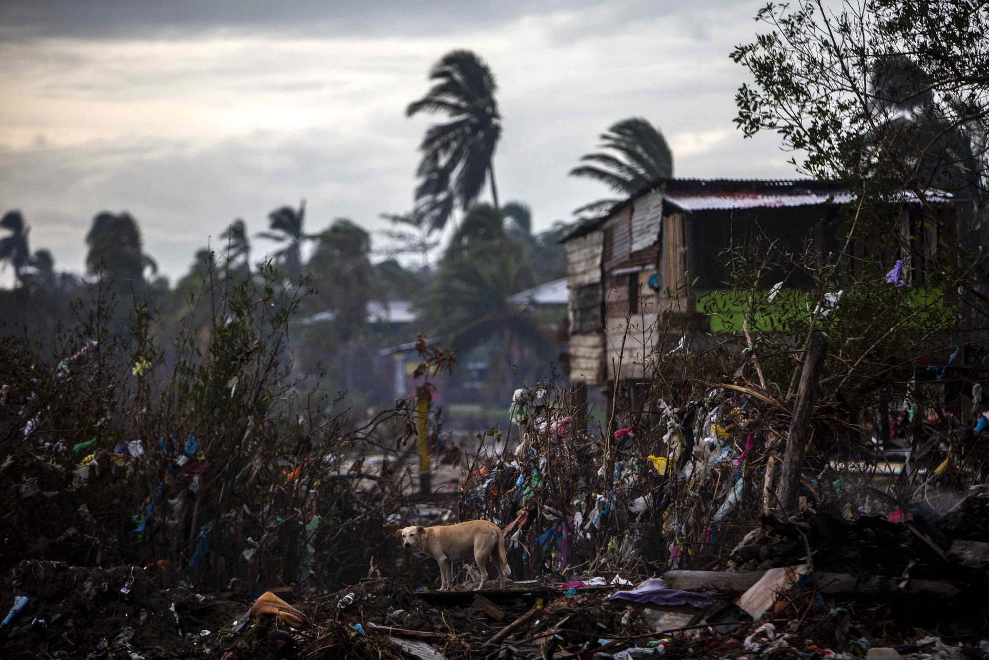 Imágenes de desolación y angustia en Centroamérica, a pocas horas de llegada de Iota