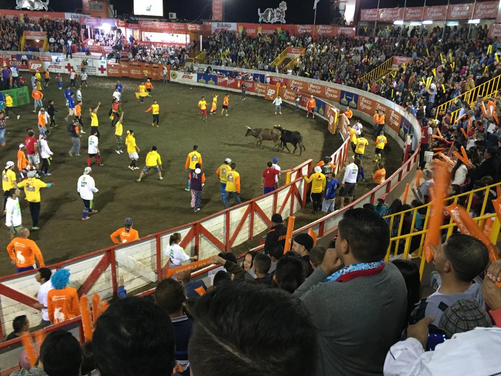 Ministerio de Salud cancela las corridas de toros en Zapote