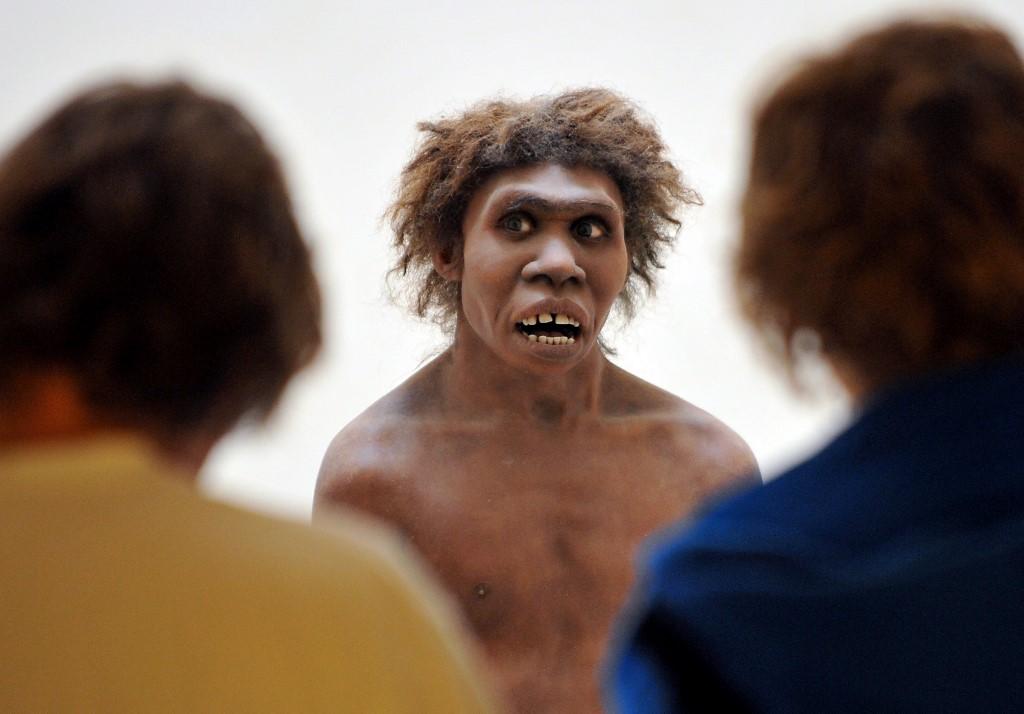 Genes neandertales ayudan a americanos y euroasiáticos a enfrentar mejor  el covid-19