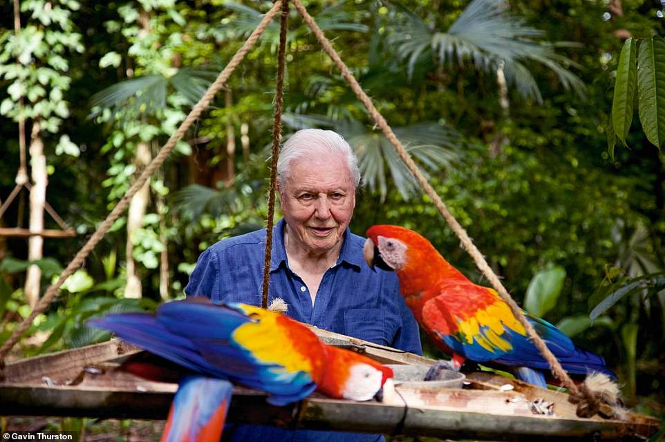 Coloridos animales de Costa Rica estarán en una serie de la cadena BBC