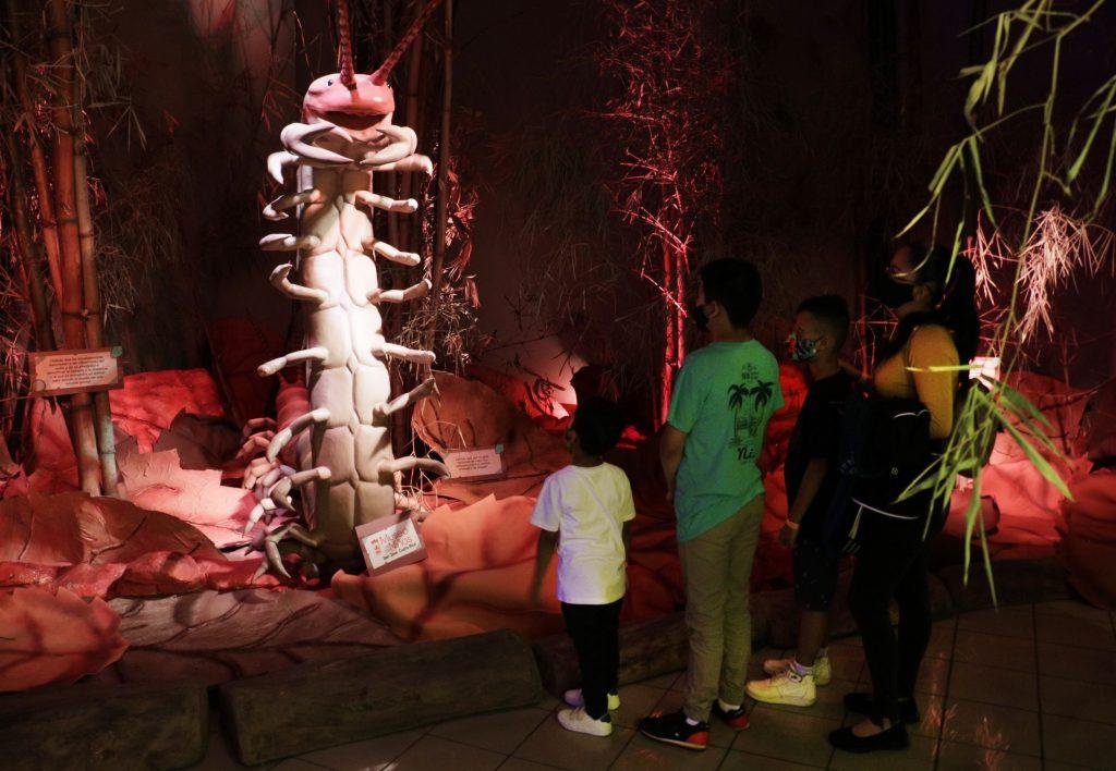 Museo de los Niños insectos gigantes