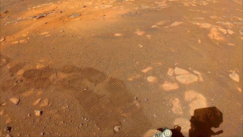 Por qué sería una buena noticia que Perseverance no descubra vida en Marte