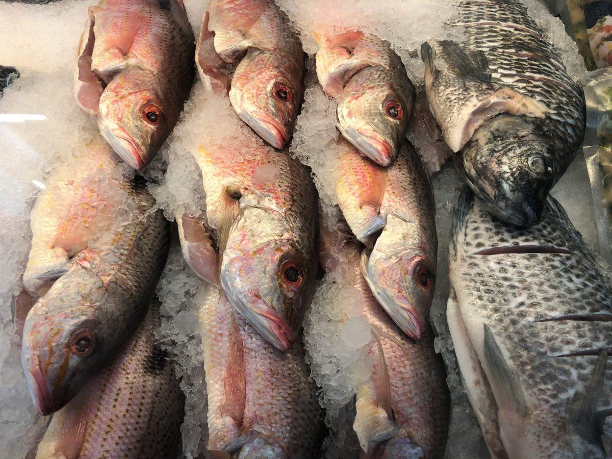 Incumplimiento de requisitos de etiquetación en productos pesqueros aumentó un 61%