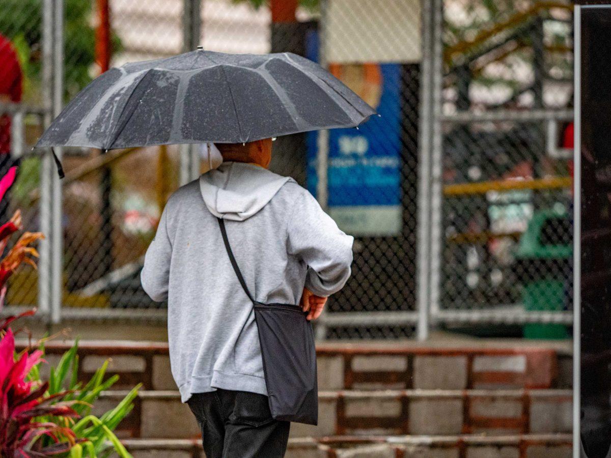 CNE eleva alertas por lluvias; IMN prevé paso de una onda tropical muy fuerte este domingo