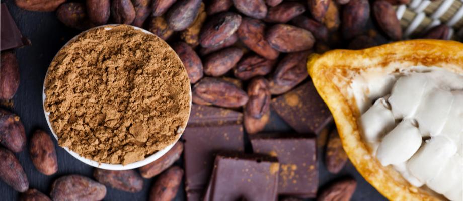 Empresa belga destaca cacao costarricense en programa de comercio justo