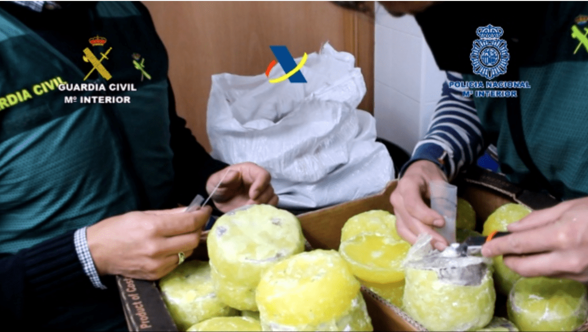 España desarticula banda que introducía piñas de Costa Rica “preñadas” con droga