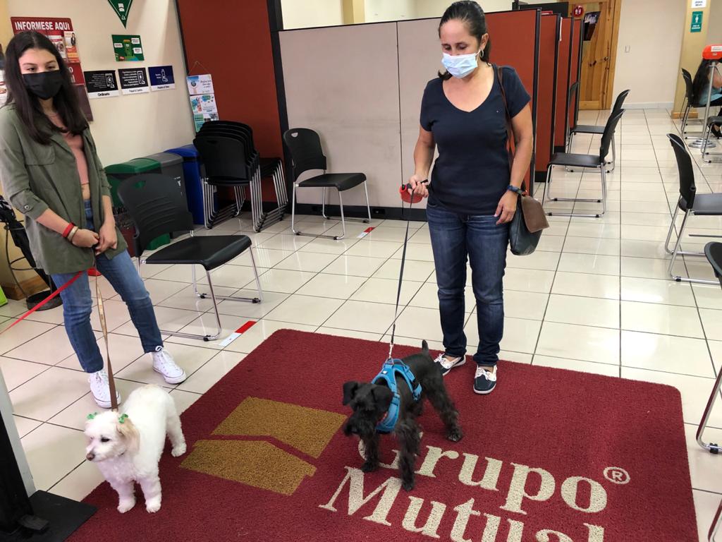 En 11 oficinas de Grupo Mutual permiten el ingreso de las mascotas