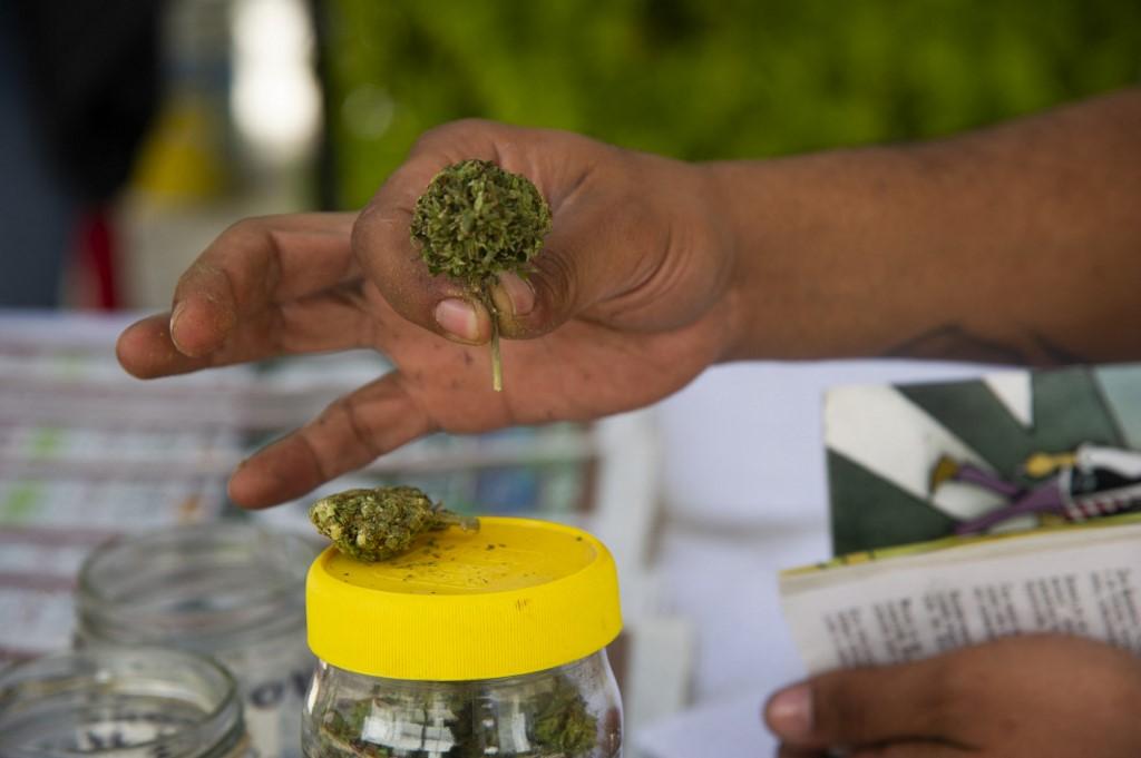 Diputados definirán si mantienen o eliminan impuesto al cannabis medicinal