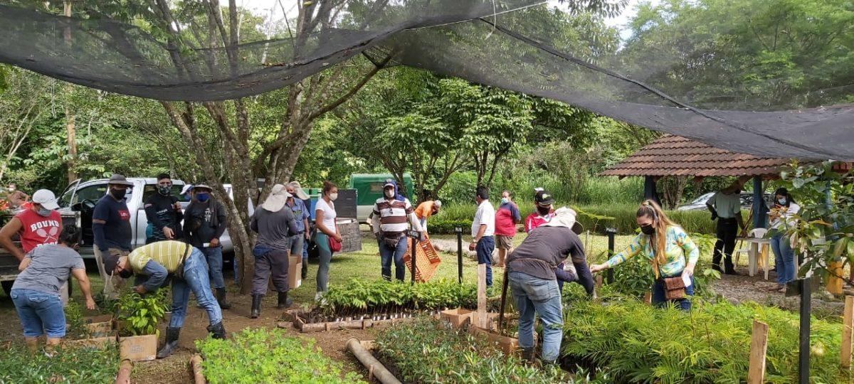 Siembra y donación de árboles en el país para celebrar el Día Mundial del Medio Ambiente