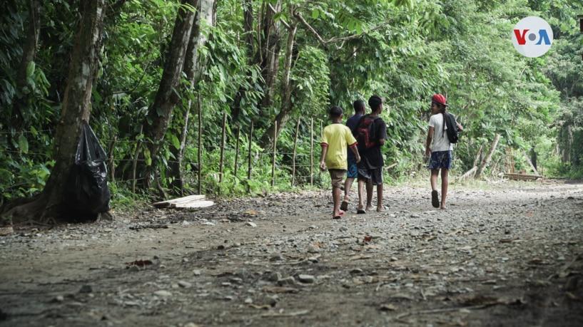 Atravesando la selva del Darién, una de las rutas migratorias más peligrosas del mundo