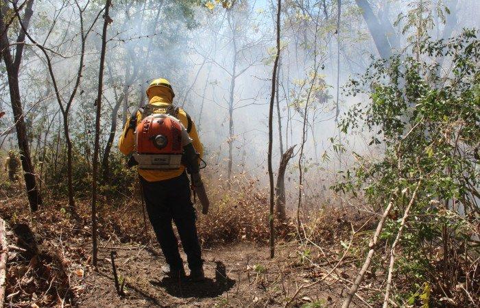 Incendios forestales provocaron la menor afectación en 2 décadas en Costa Rica