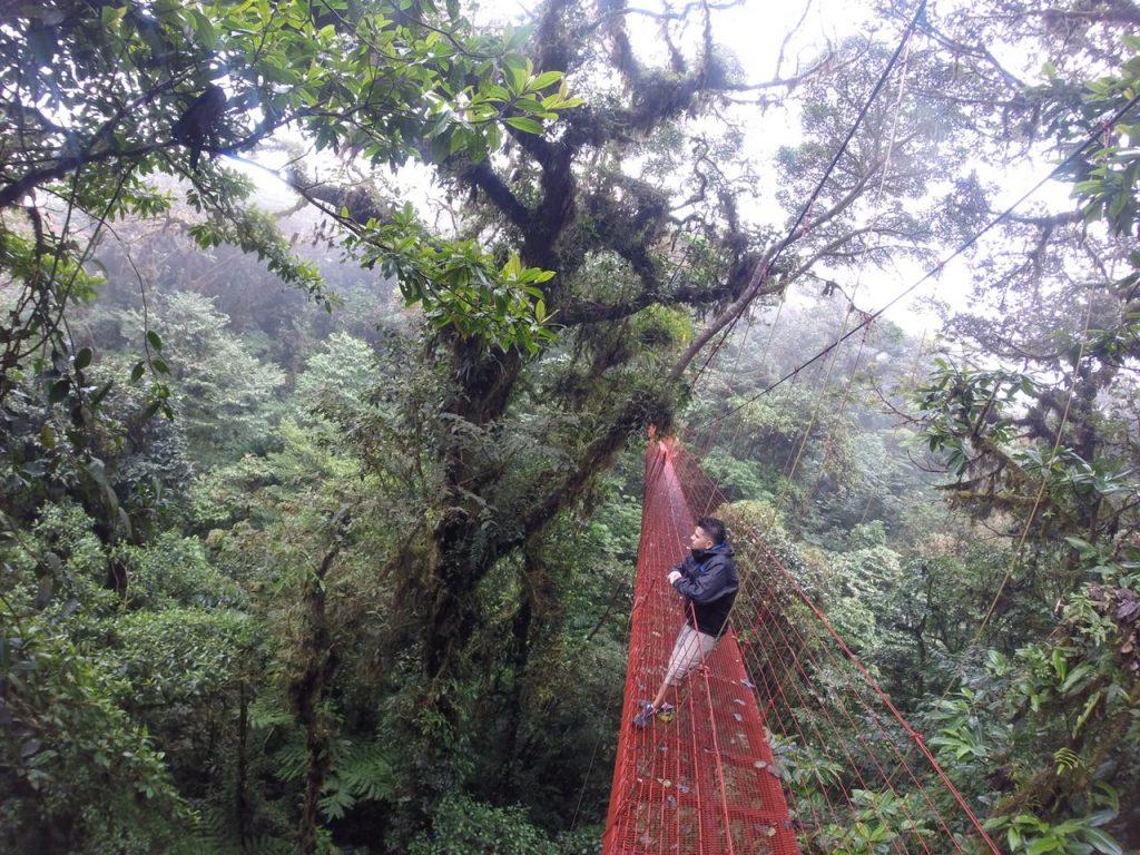 Revista internacional destaca a Monteverde como uno de los 51 destinos más hermosos del mundo