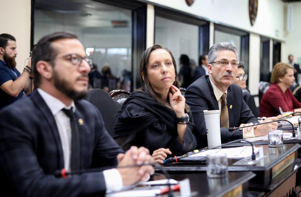 Diputada Carolina Hidalgo votaría contra proyecto de Empleo Público si no se elimina objeción de conciencia