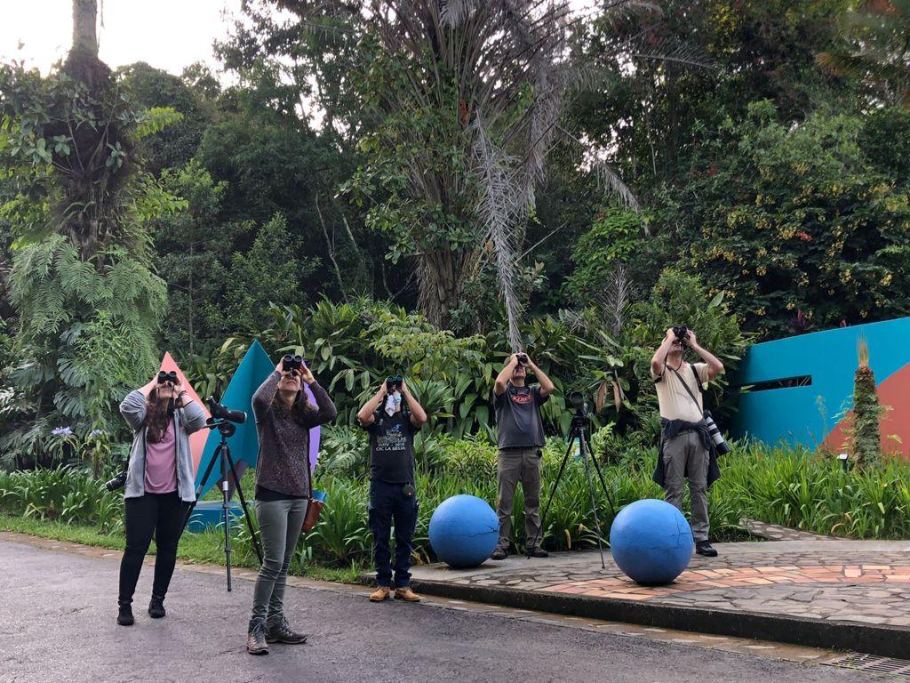 Costa Rica promociona entre prensa e influencers internacionales turismo para observar aves