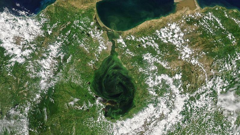 Las imágenes de satélite que muestran cómo el lago Maracaibo se vuelve verde