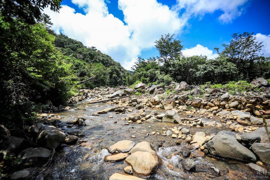 ONU aprueba plan de Costa Rica para reconocer el derecho humano a un ambiente sano