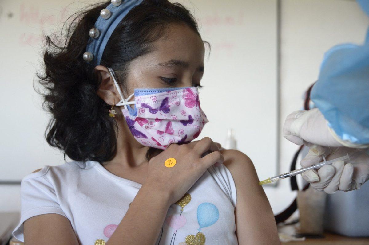 ¿Cómo y cuándo podría pasar el COVID-19 de pandemia a virus endémico en América Latina?