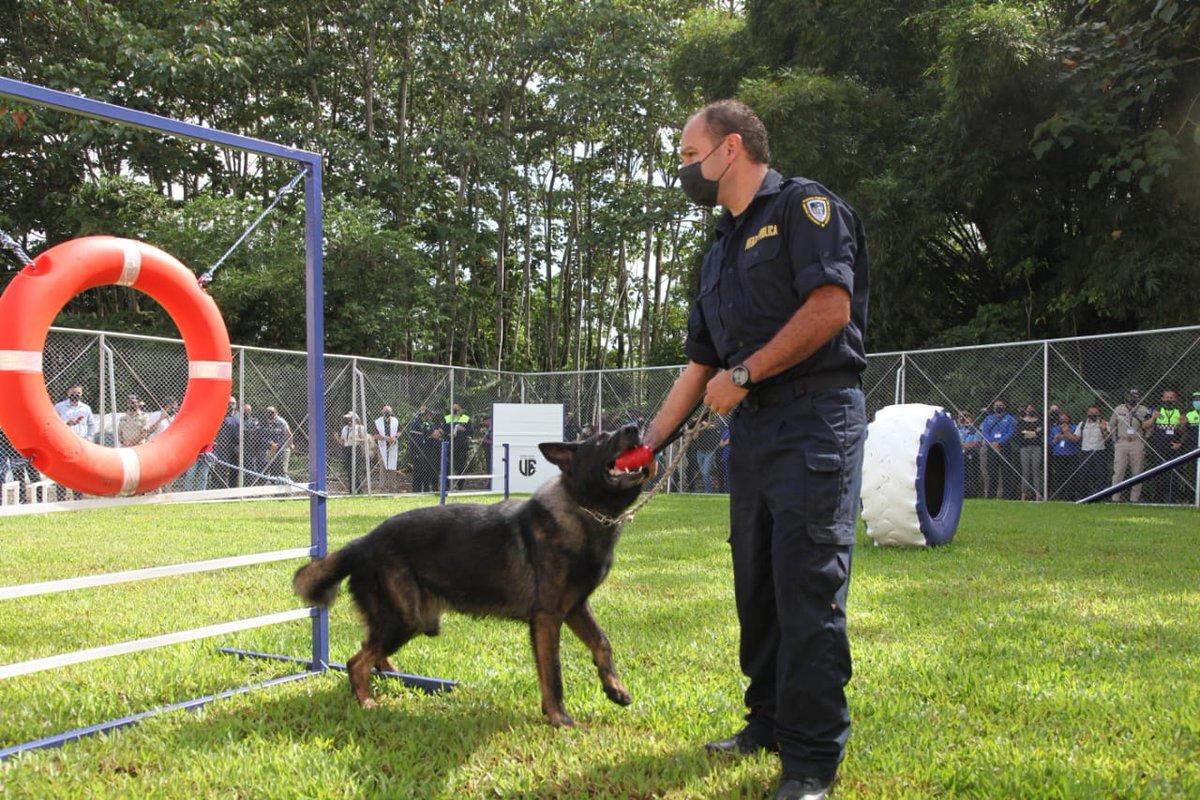 Fuerza Pública inaugura escuela para perros policía