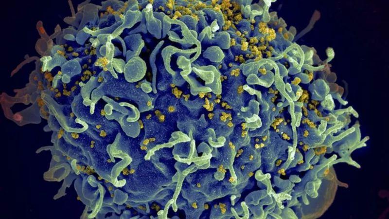El estudio que detectó una mutación más virulenta del VIH (¿debe alarmarnos?)