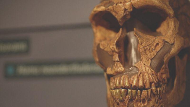 Neandertales y humanos modernos convivieron durante 10.000 años en Europa, revela hallazgo