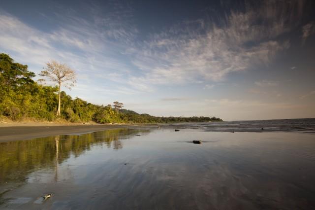 National Geographic dedica amplio reportaje a la Península de Osa, al sur de Costa Rica
