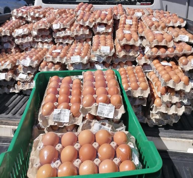Huevos de contrabando cruzan la Zona Sur y llegan a otros puntos del país