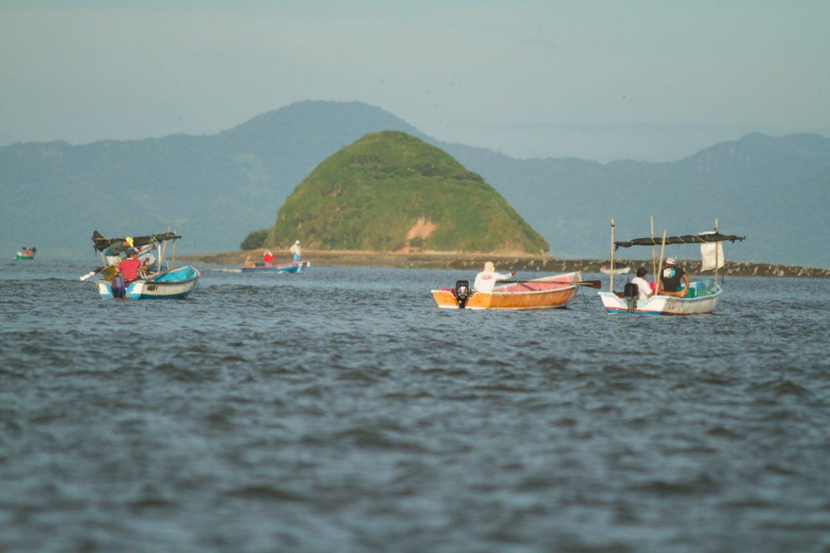 Pescadores costarricenses venden sus productos en línea
