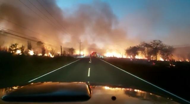 Video || Incendio consume hectáreas de pasto y bosque en Guanacaste