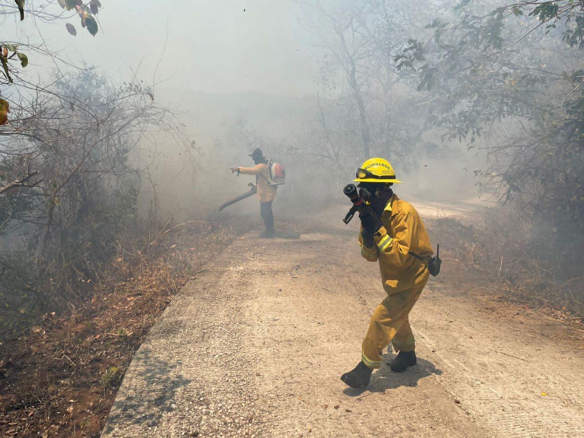 Bomberos reporta cuatro incendios forestales este 2023; condiciones ventosas pueden agravar emergencias