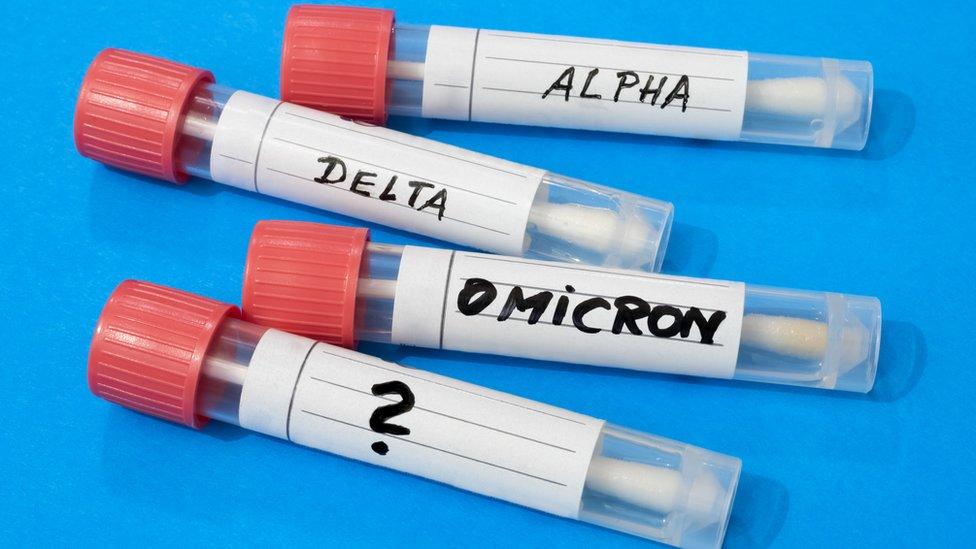 Coronavirus: deltacrón y otras 3 preguntas sobre qué ha pasado con covid en este 2022