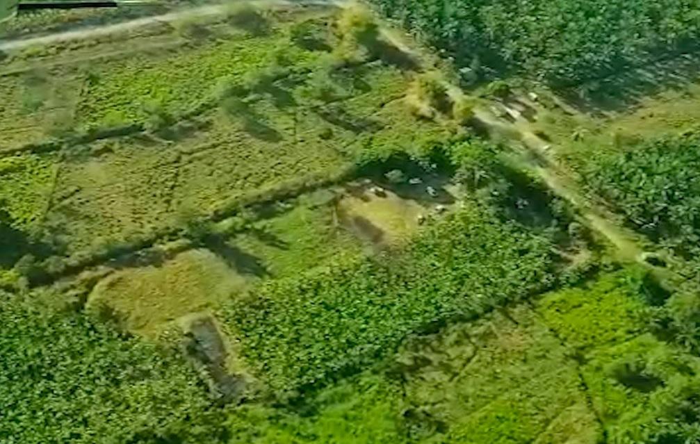 Avioneta con paquetes de presunta cocaína se estrelló en Palmar Sur; se reportan dos fallecidos