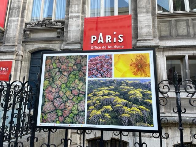 Fotos | Fotógrafo tico expone en París: “Quisiéramos ser una voz de los árboles”