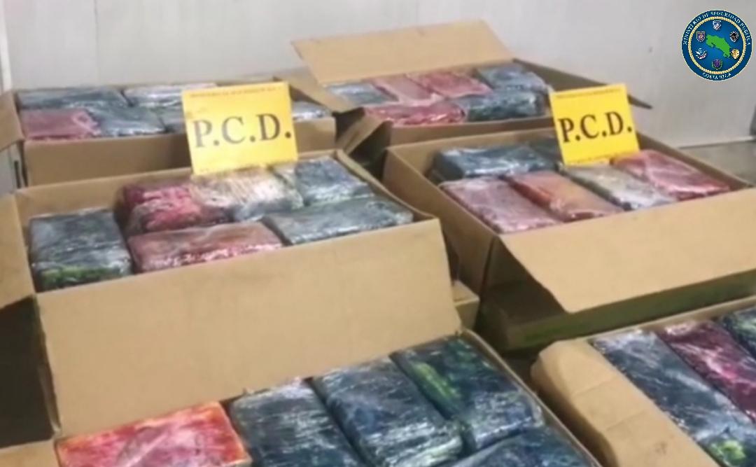 PCD decomisa en Moín importante cargamento de droga que tenía por destino Países Bajos
