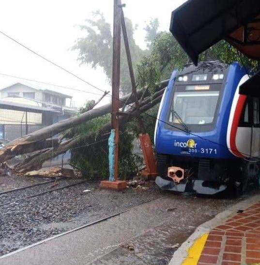 Cae árbol sobre tren de pasajeros en Barrio Escalante; Incofer reporta afectación de servicio