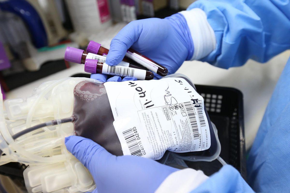 Banco de Sangre hace llamado urgente a donadores por cancelación de campañas