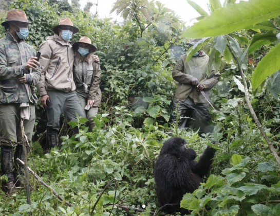 Keylor Navas gorilas Ruanda